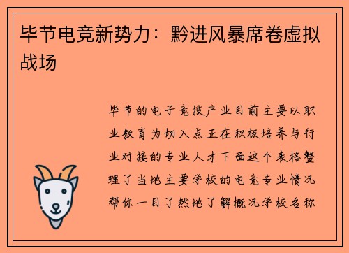 毕节电竞新势力：黔进风暴席卷虚拟战场